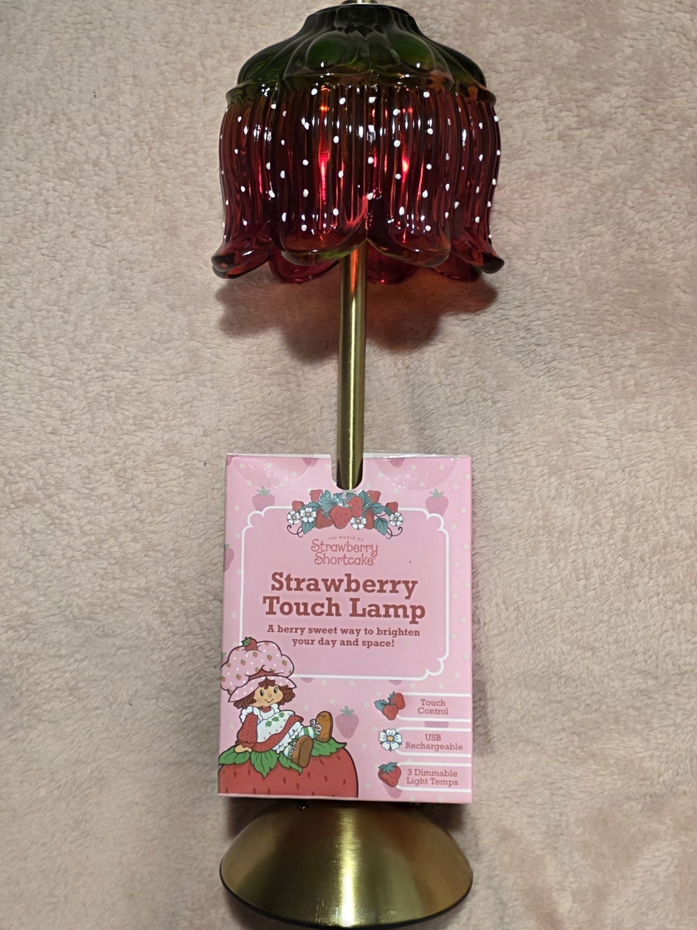 Strawberry Shortcake Pink & Green Touch Lamp